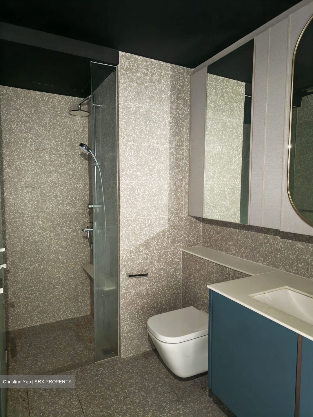 Clavon (D5), Apartment #559445021